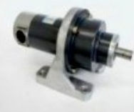 �ձ�SAWAMURAֱ�����