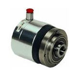 ����Horton�����