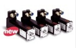 ����Pacific���������